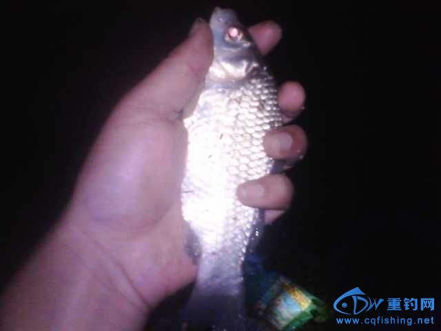 IMG_20131007_202051.jpg