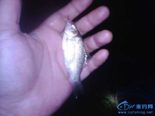 IMG_20131007_202651.jpg