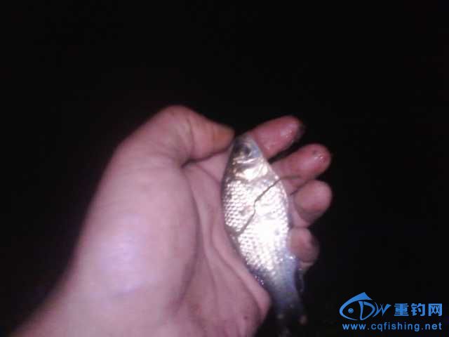 IMG_20131007_204801.jpg