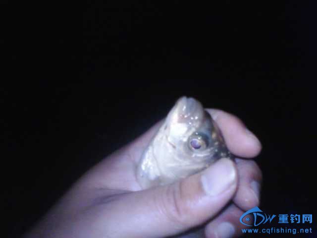 IMG_20131007_214401.jpg