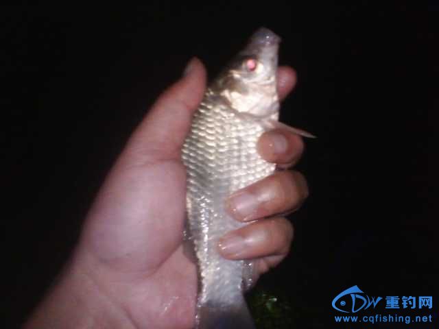 IMG_20131007_222510.jpg