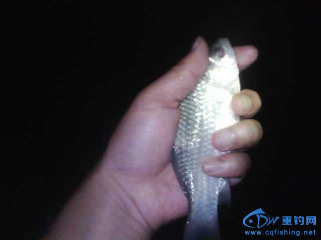 IMG_20131007_223207.jpg