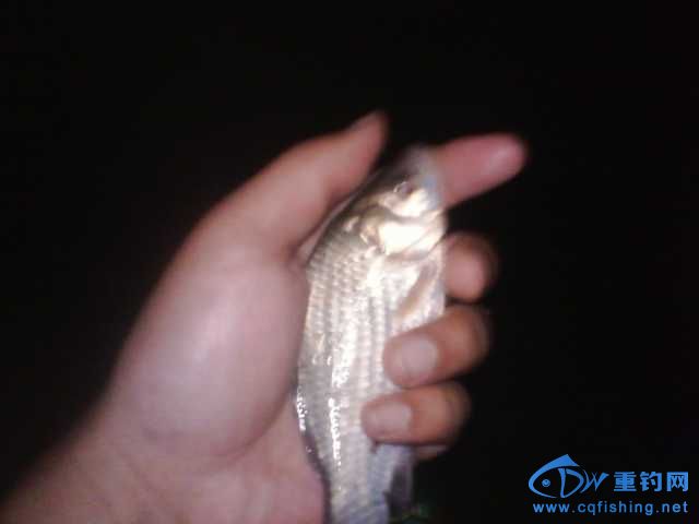 IMG_20131007_230134.jpg