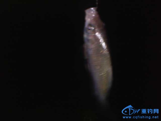IMG_20131007_230125.jpg