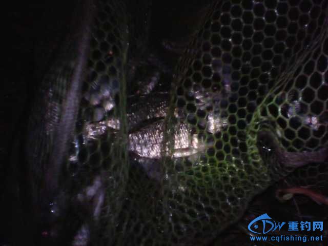 IMG_20131007_230930.jpg