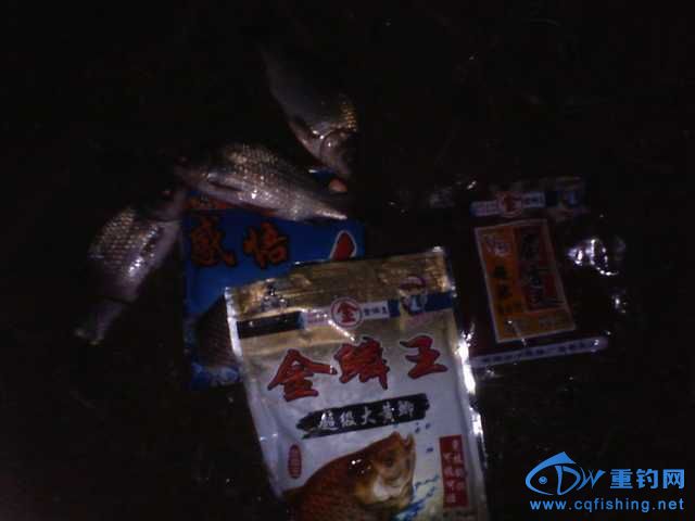 IMG_20131007_231204.jpg