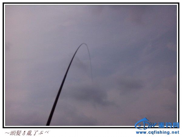 conew_img_20130920_110159.jpg