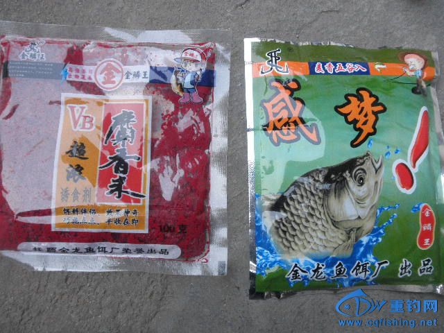P1010069.JPG