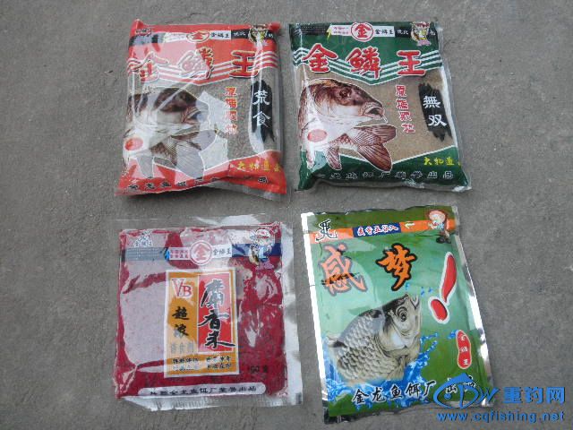 P1010067.JPG