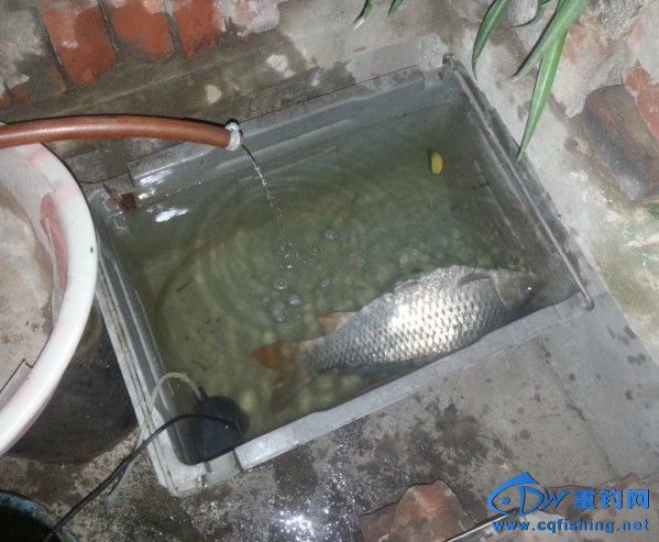 QQͼƬ20131107004339.jpg