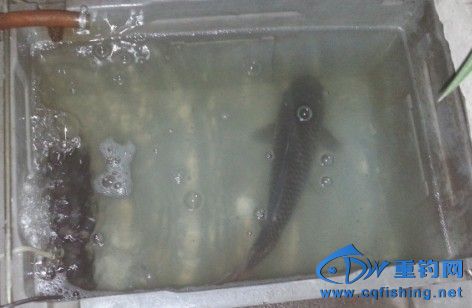 QQͼƬ20131107004421.jpg