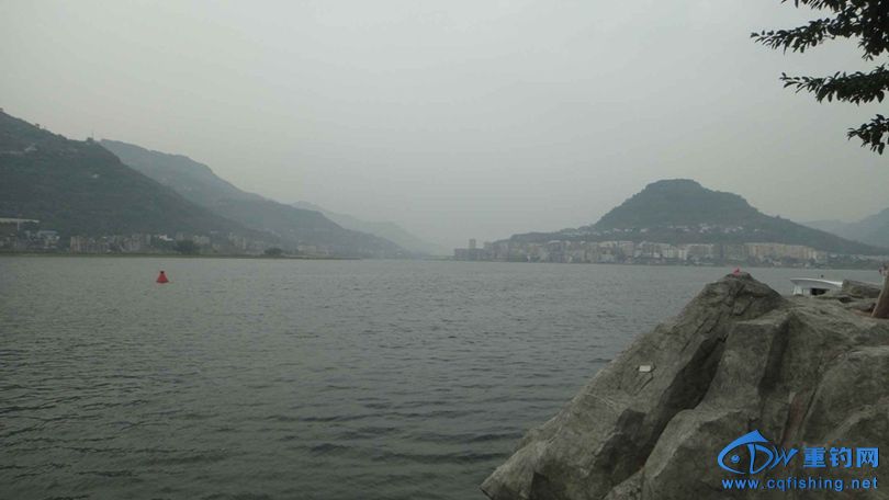 DSC03210.jpg