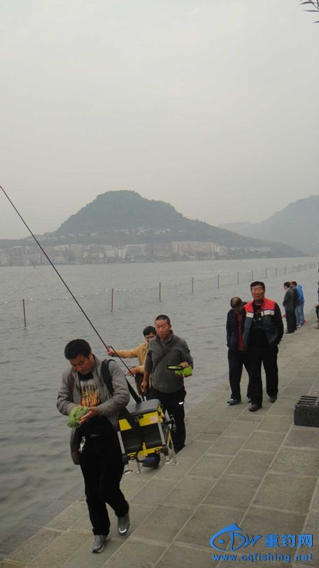 DSC03215.jpg