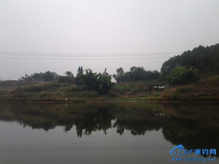 20131109_155931.jpg