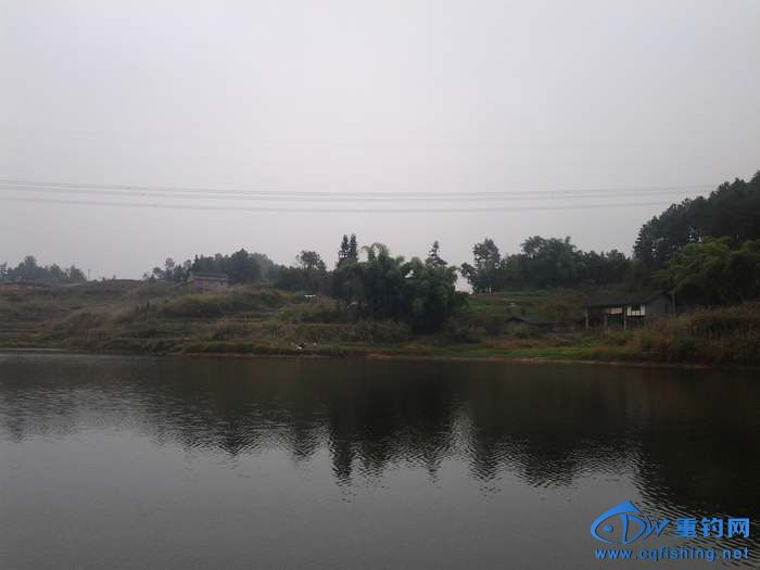 20131109_160054.jpg