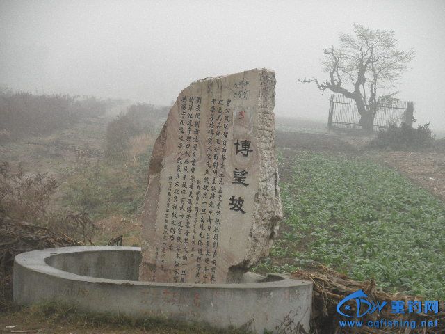 P1010001.JPG