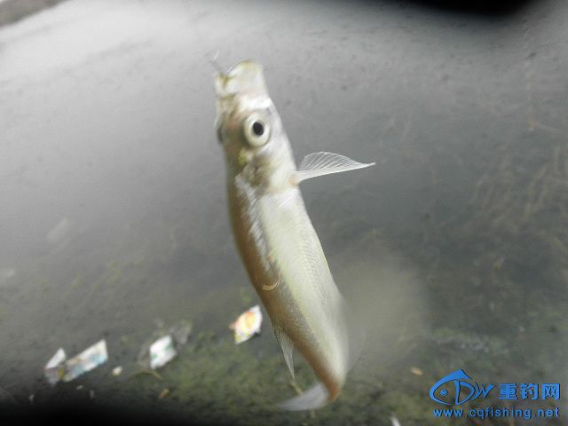 P1010071.JPG