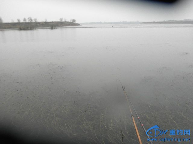 P1010075.JPG
