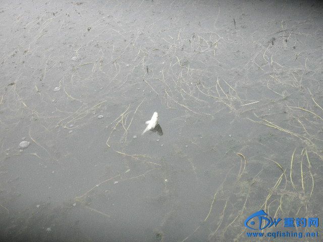P1010082.JPG