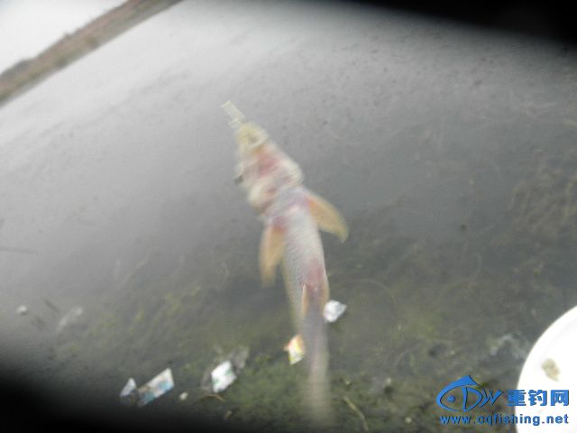 P1010091.JPG