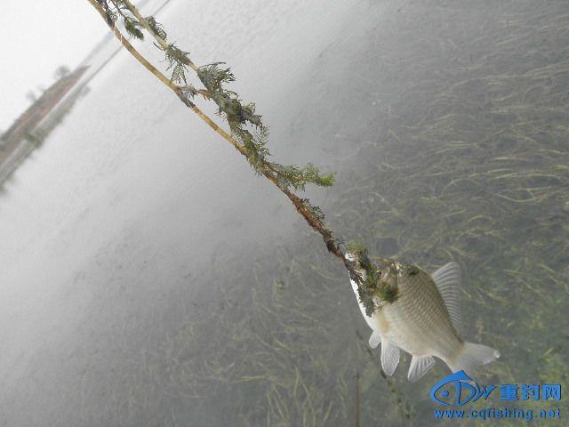 P1010095.JPG