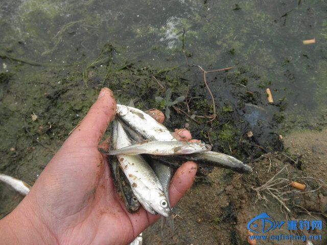 P1010121.JPG