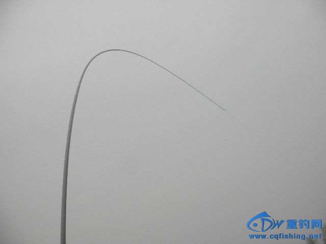 P1010107.JPG