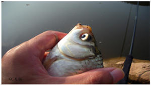 DSCN0714.jpg