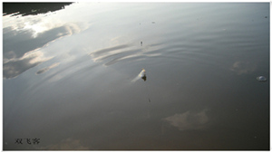 DSCN0715.jpg