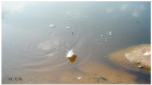 DSCN0716.jpg