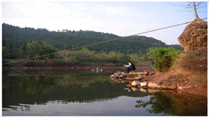 DSCN0717.jpg