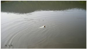 DSCN0701.jpg