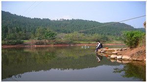 DSCN0703.jpg