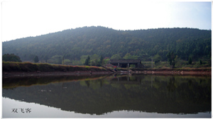 DSCN0704.jpg