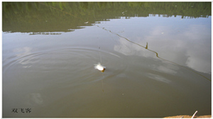 DSCN0705.jpg