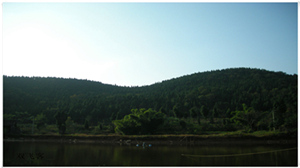 DSCN0708.jpg