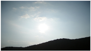 DSCN0709.jpg