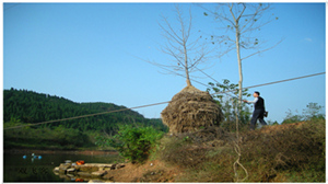 DSCN0711.jpg