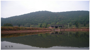 DSCN0685.jpg
