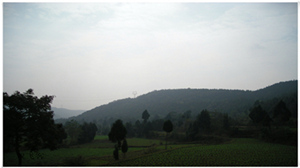 DSCN0695.jpg