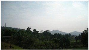 DSCN0696.jpg