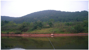 DSCN0679.jpg