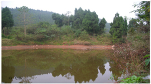 DSCN0680.jpg