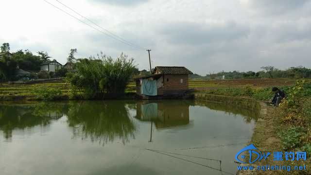 IMG_20131114_140844.jpg