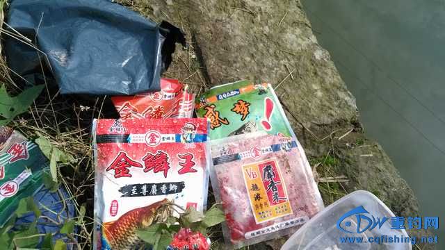 IMG_20131114_140934.jpg