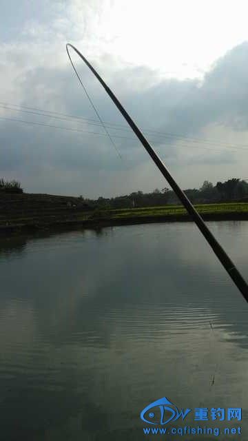 IMG_20131114_144858.jpg