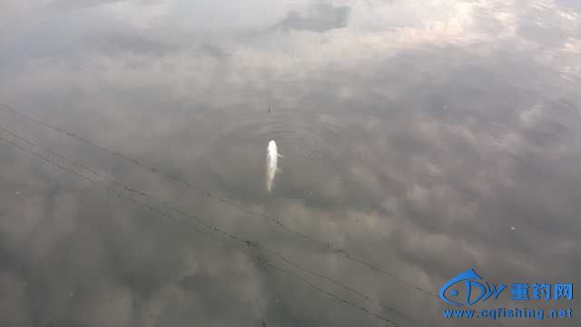 IMG_20131114_163753.jpg