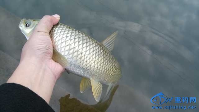 IMG_20131114_163915.jpg