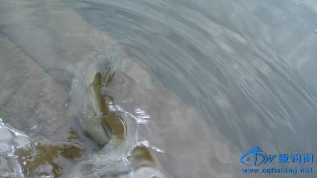 IMG_20131114_163921.jpg