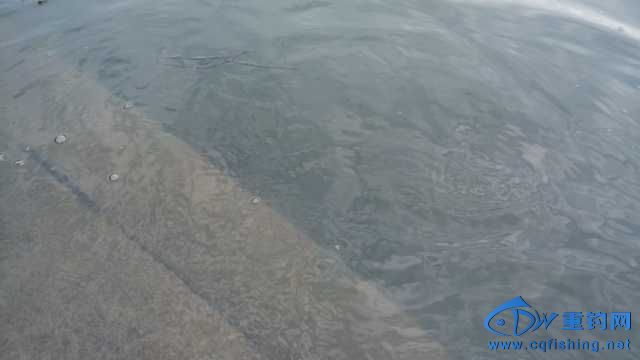 IMG_20131114_163924.jpg